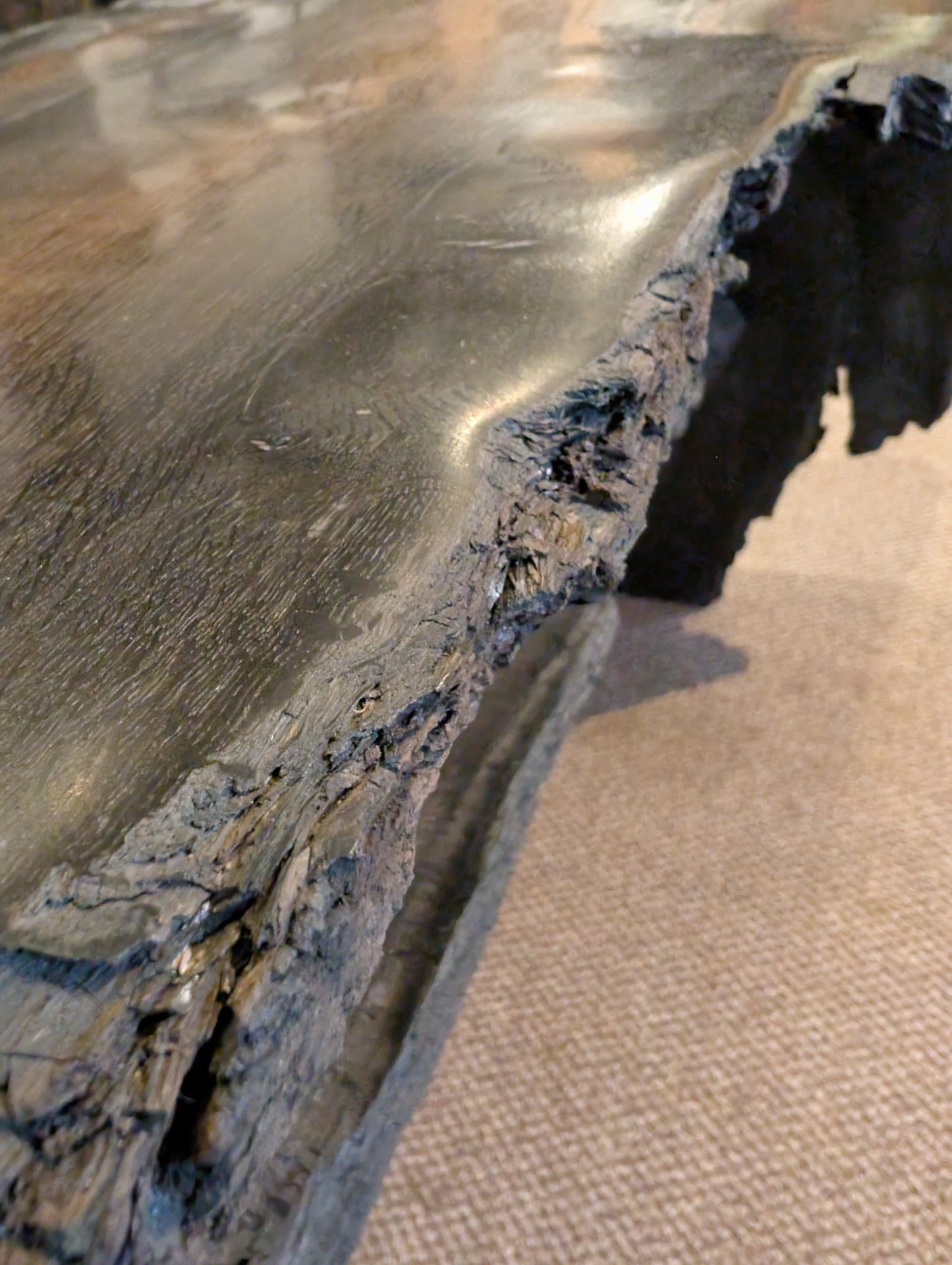 5,000 Year Old Bog Oak Table