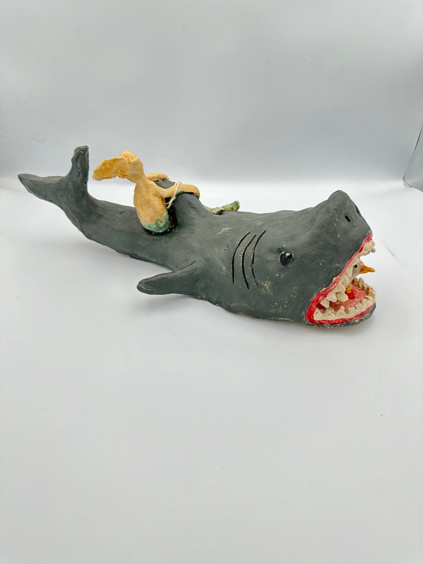 Shark and Friends