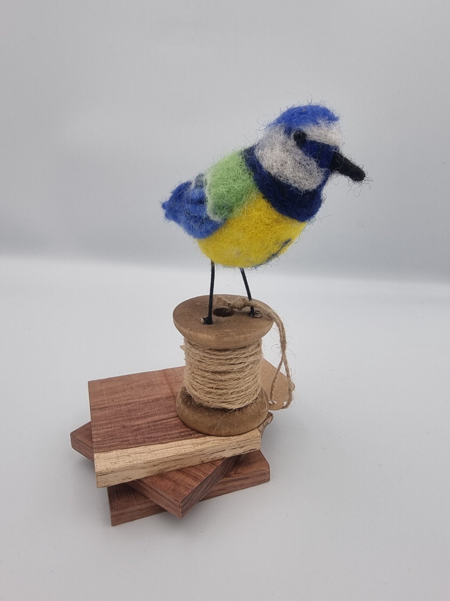 Pretty Blue Tit
