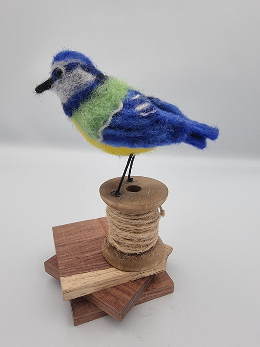 Pretty Blue Tit