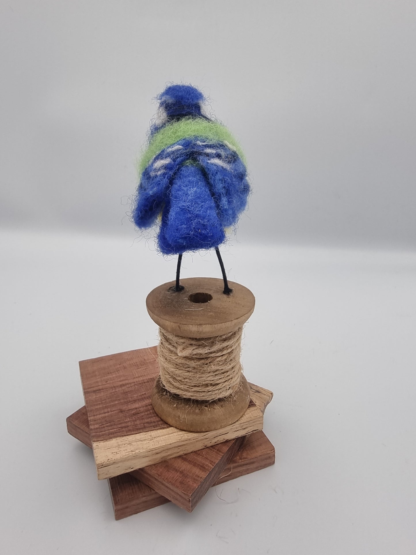 Pretty Blue Tit