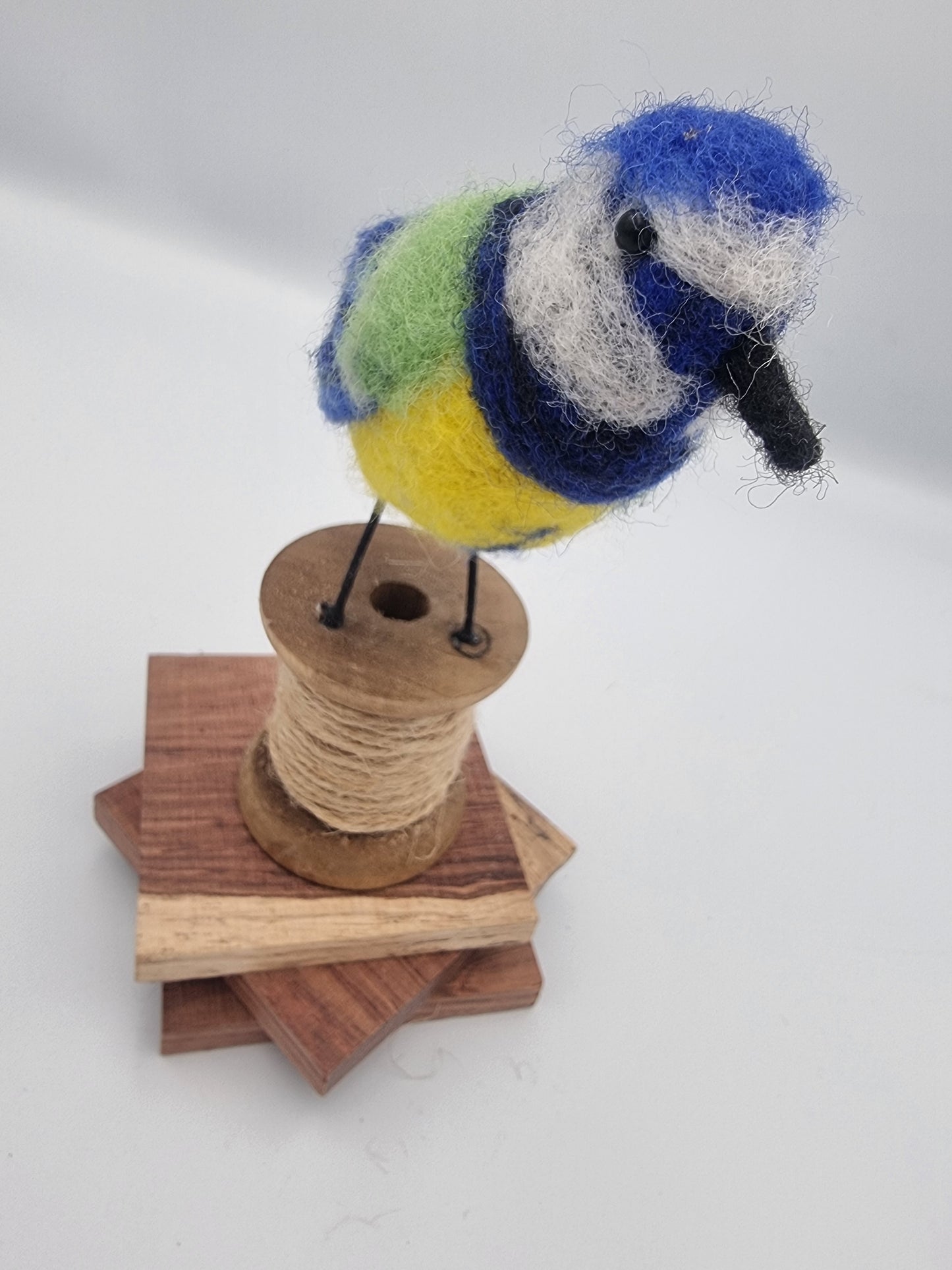 Pretty Blue Tit