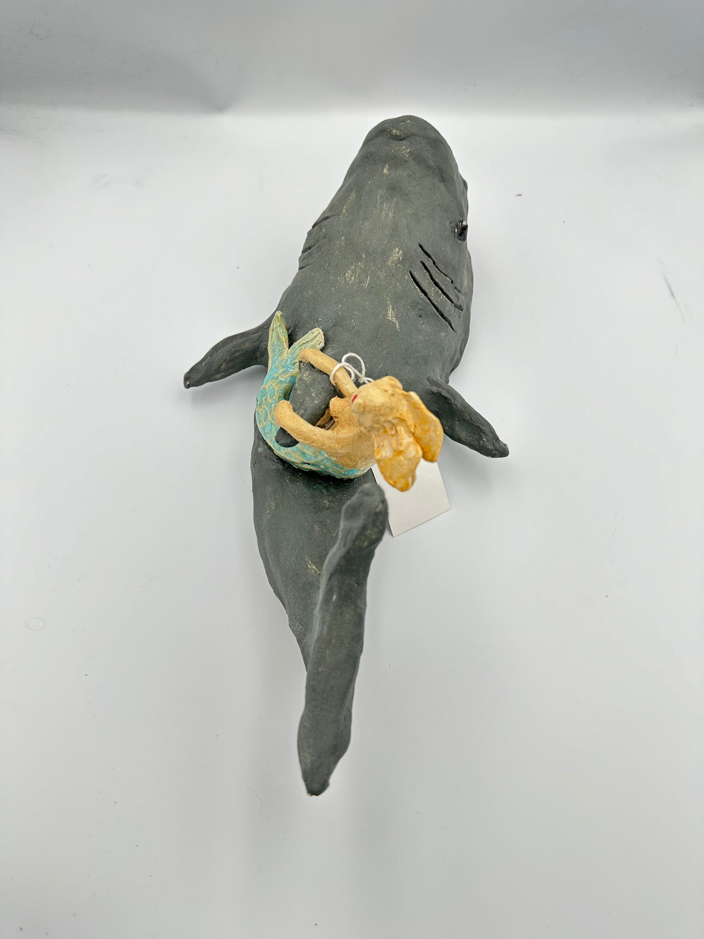 Shark and Friends
