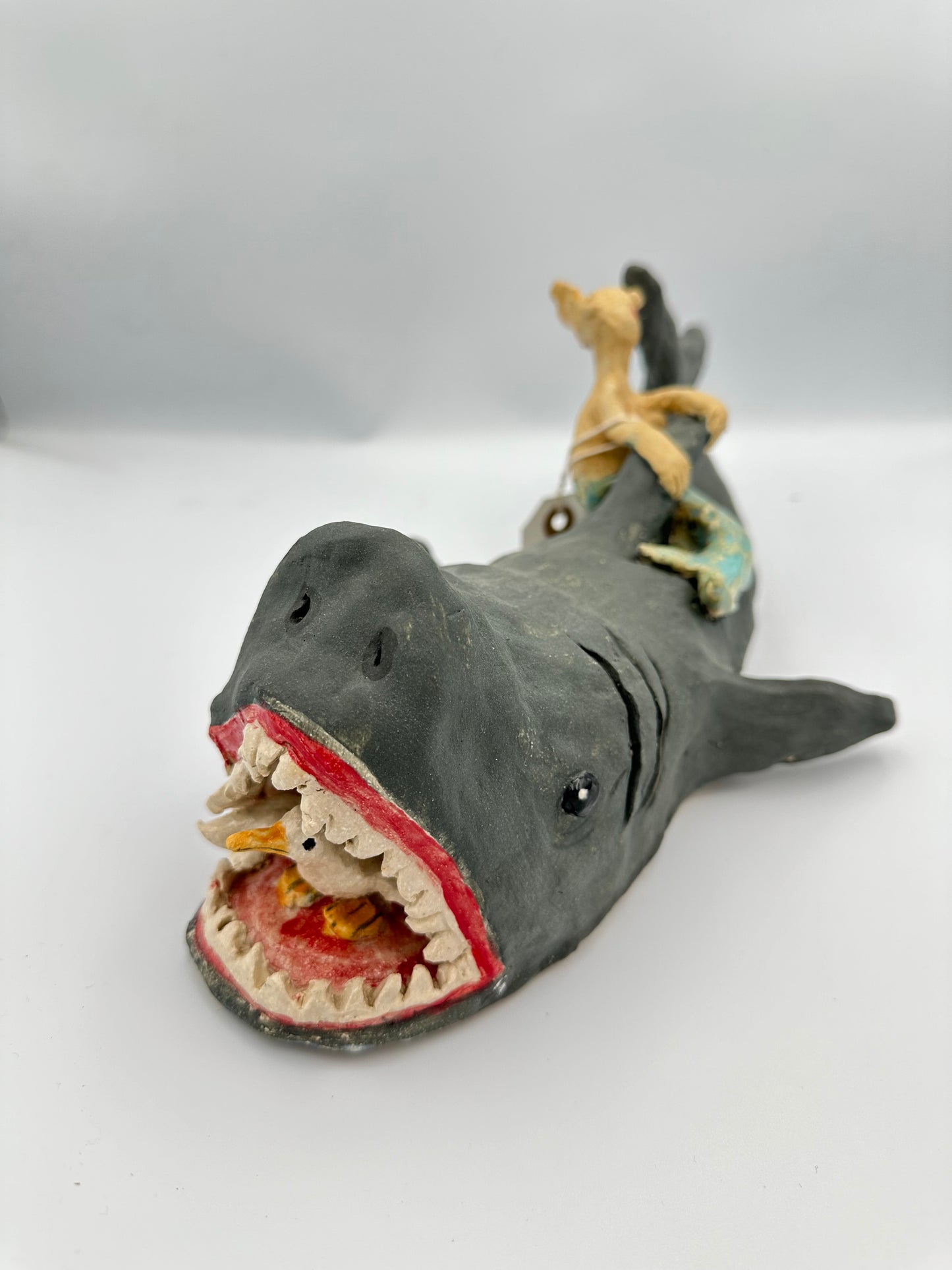 Shark and Friends