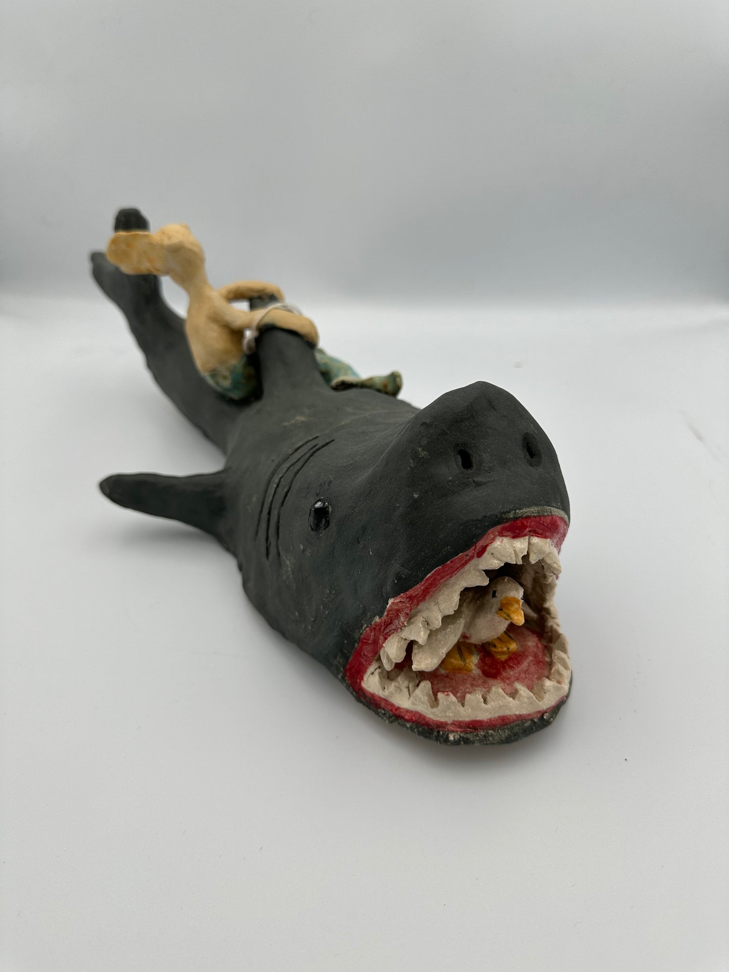 Shark and Friends